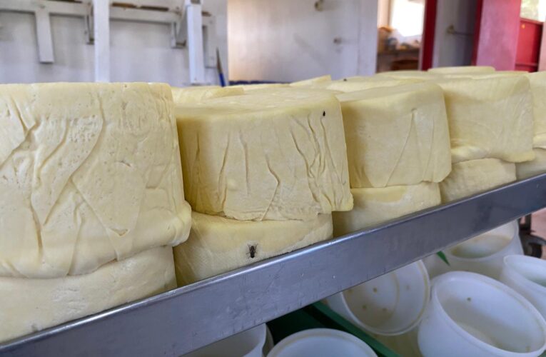 Autoridad Sanitaria prohíbe funcionamiento de fábrica de quesos en Vallenar