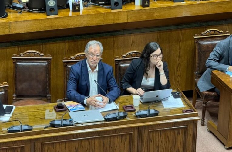 Senado aprobó proyecto de Ferias Libres quedando a pasos de ser Ley