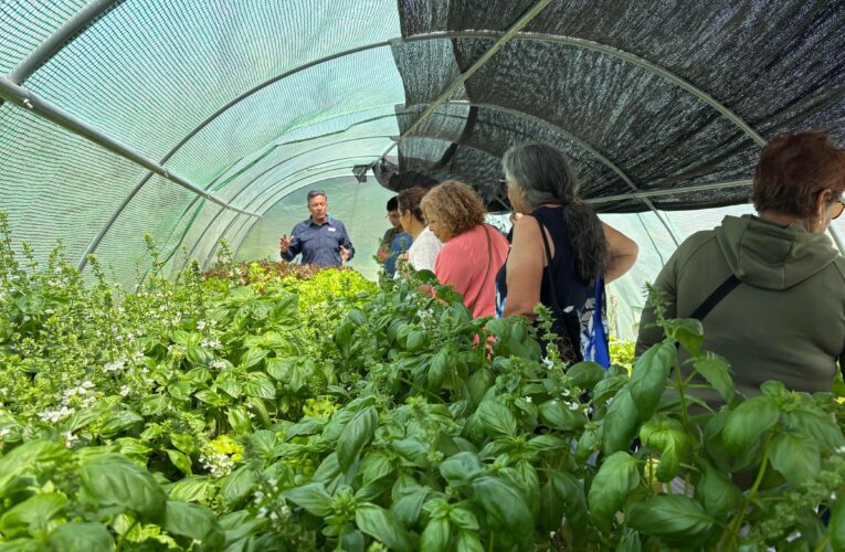 CMP CIERRA CON ÉXITO NUEVO AÑO DEL FONDO AGROEMPRENDE, FORTALECIENDO LA AGRICULTURA SOSTENIBLE EN EL TERRITORIO