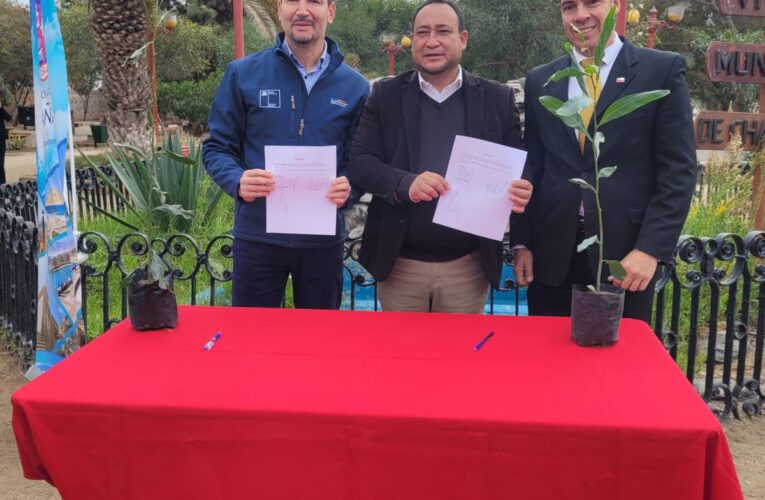 CONAF apoya Programa de Arborización del municipio de Chañaral