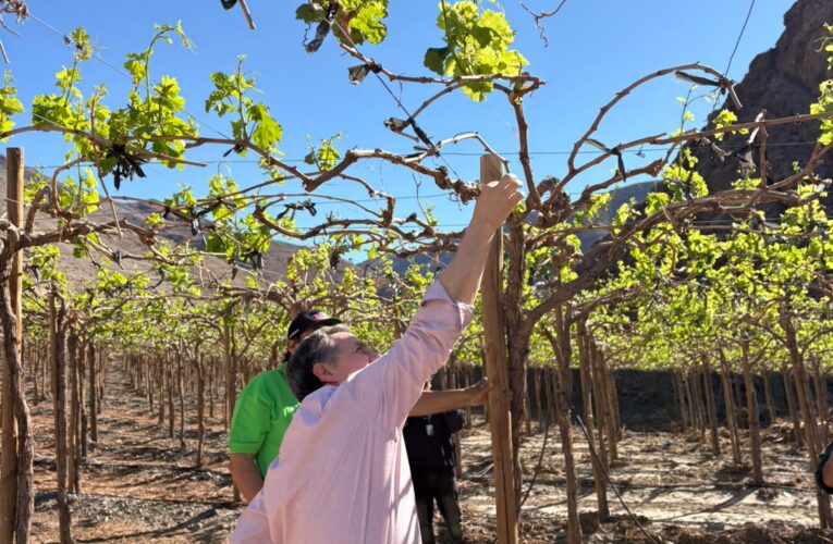 Curso e-learning de RAN-AGROMET fortalecerá capacidades para la gestión del riesgo agroclimático