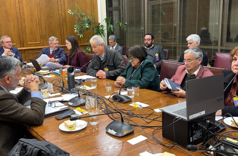 COLEGIO DE PROFESORES ADVIERTE: «CON EL PRETEXTO DE PAUSAR LOS SLEP SE BUSCA DETENER EL FORTALECIMIENTO DE LA EDUCACIÓN PÚBLICA POR RAZONES IDEOLÓGICAS»