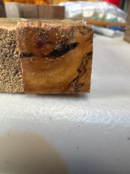 Spalted Tamarind