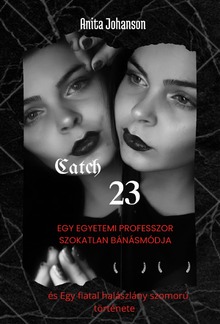 Catch-23: Egy egyetemi professzor szokatlan bánásmódja és Egy fiatal halászlány szomorú története PDF