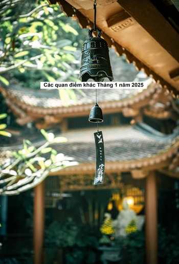 Các quan điểm khác Tháng 1 năm 2025 PDF Các quan điểm khác Tháng 1 năm 2025 PDF