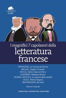 I magnifici 7 capolavori della letteratura francese PDF