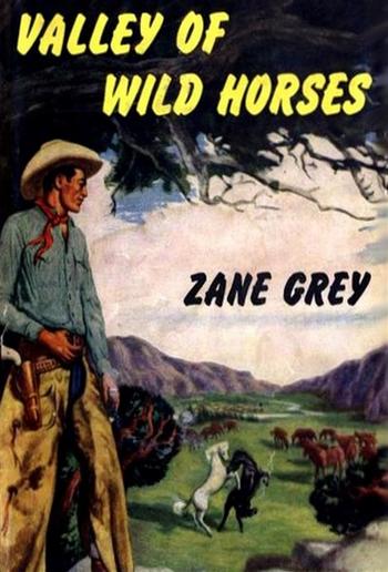 Valley of Wild Horses PDF