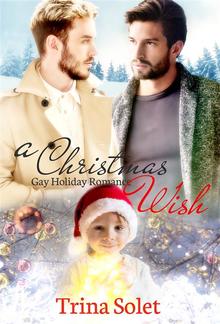 A Christmas Wish (Gay Holiday Romance) PDF