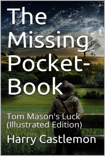 The missing pocket-book; or Tom Mason's luck PDF