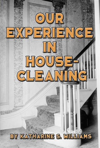 Our Experience in House-Cleaning PDF