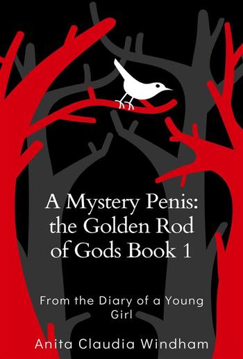 A Mystery Penis: the Golden Rod of Gods Book 1 PDF