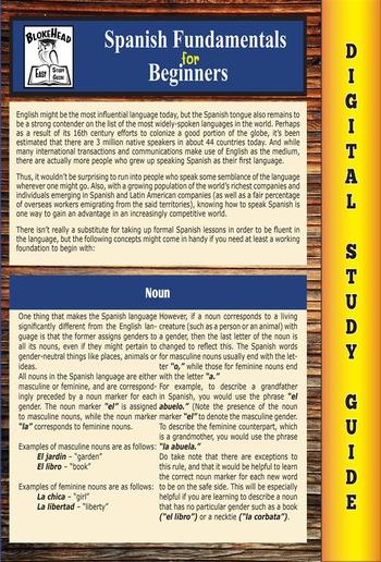 Spanish Fundamentals ( Blokehead Easy Study Guide) PDF