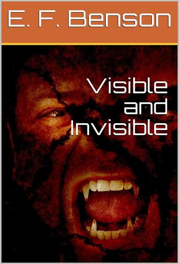 Visible and Invisible PDF