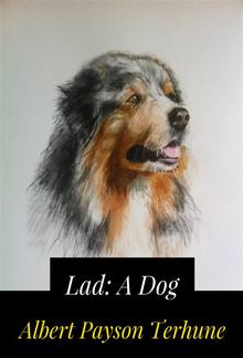 Lad: A Dog PDF