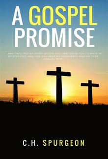 A Gospel Promise PDF