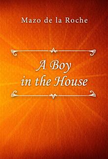 A Boy in the House PDF