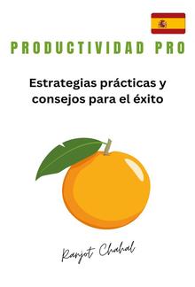 Productividad Pro: Estrategias prácticas y consejos para el éxito PDF