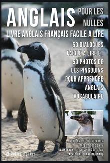 Anglais Pour Les Nulles - Livre Anglais Français Facile A Lire PDF