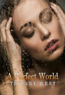 A Perfect World PDF