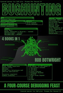Bughunting PDF