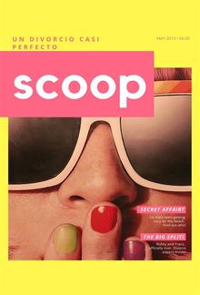 Un divorcio casi perfecto PDF