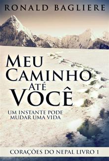 Meu Caminho Até Você PDF