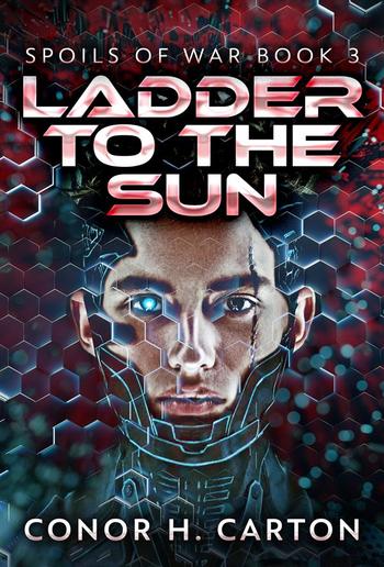 Ladder To The Sun PDF