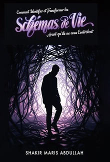 Comment identifier et transformer les schémas PDF