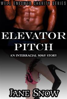 Elevator Pitch (Interracial Black MM/White F Erotic Story) PDF