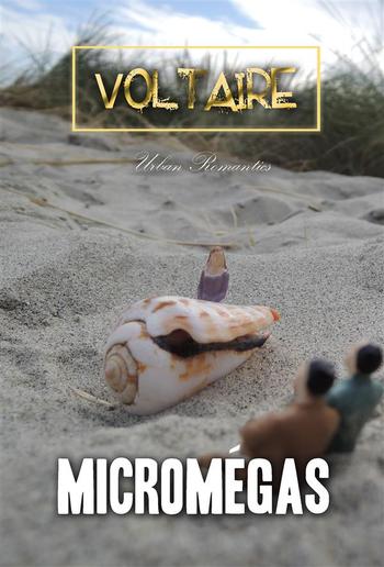 Micromegas PDF