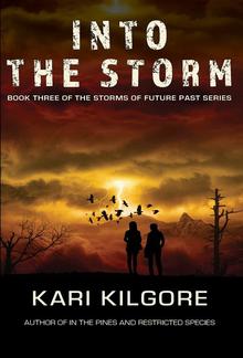 Into the Storm: Book Three of the Storms of Future Past Series PDF