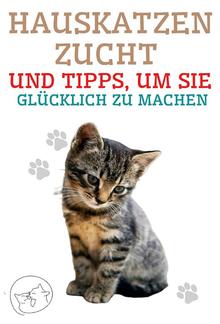 Hauskatzenzucht und Tipps, um sie glücklich zu machen PDF