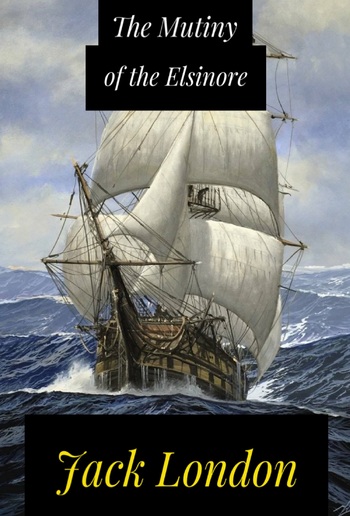 The Mutiny of the Elsinore PDF