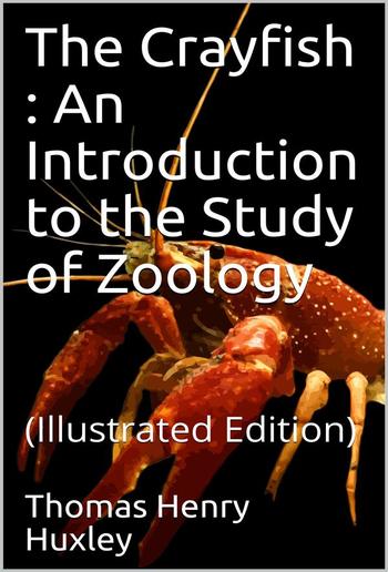 The Crayfish / An Introduction to the Study of Zoology. The International Scientific Series, Vol. XXVIII PDF