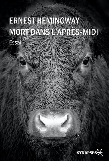 Mort dans l'après-midi PDF