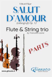 Salut d'amour - Flute & Strings (parts) PDF