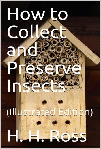 How to Collect and Preserve Insects PDF