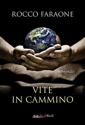 Vite in cammino PDF