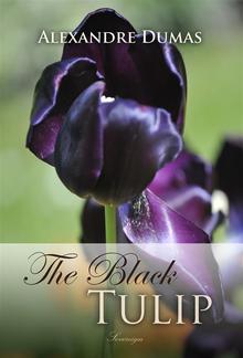 The Black Tulip PDF