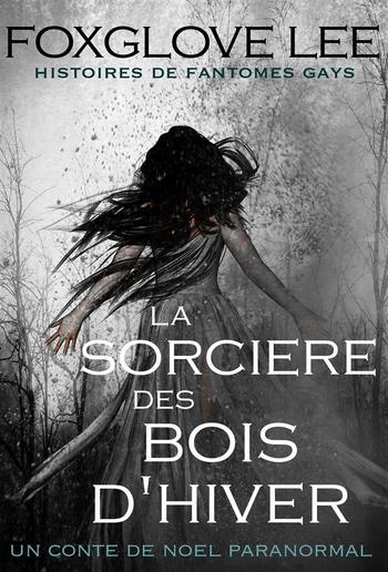 La sorcière des bois d'hiver PDF