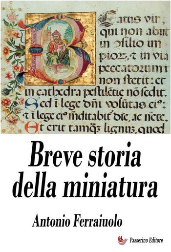 Breve storia della miniatura PDF
