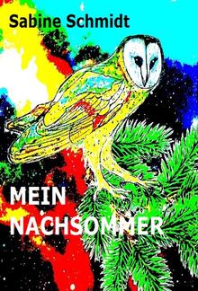 Mein Nachsommer PDF