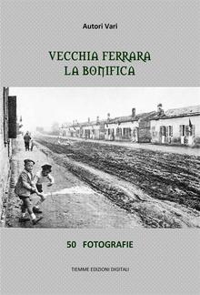 Vecchia Ferrara. La bonifica PDF