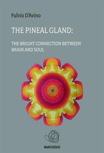 The pineal gland PDF