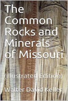 The Common Rocks and Minerals of Missouri PDF