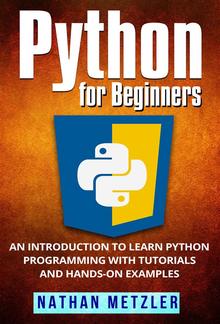 Python for Beginners PDF