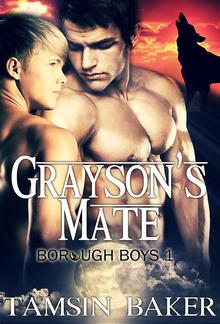 Grayson's Mate PDF