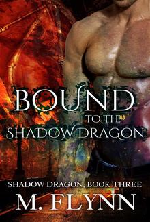 Bound to the Shadow Dragon PDF