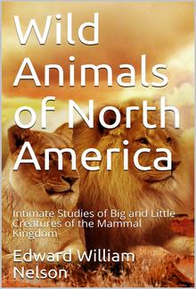 Wild Animals of North America / Intimate Studies of Big and Little Creatures of the Mammal Kingdom PDF