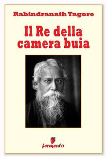 Il Re della camera buia PDF